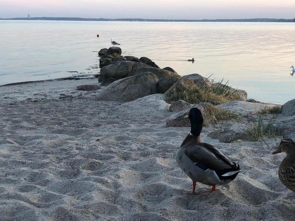 Ostseecamp Luebecker Bucht Seemoewe Villa Scharbeutz Esterno foto